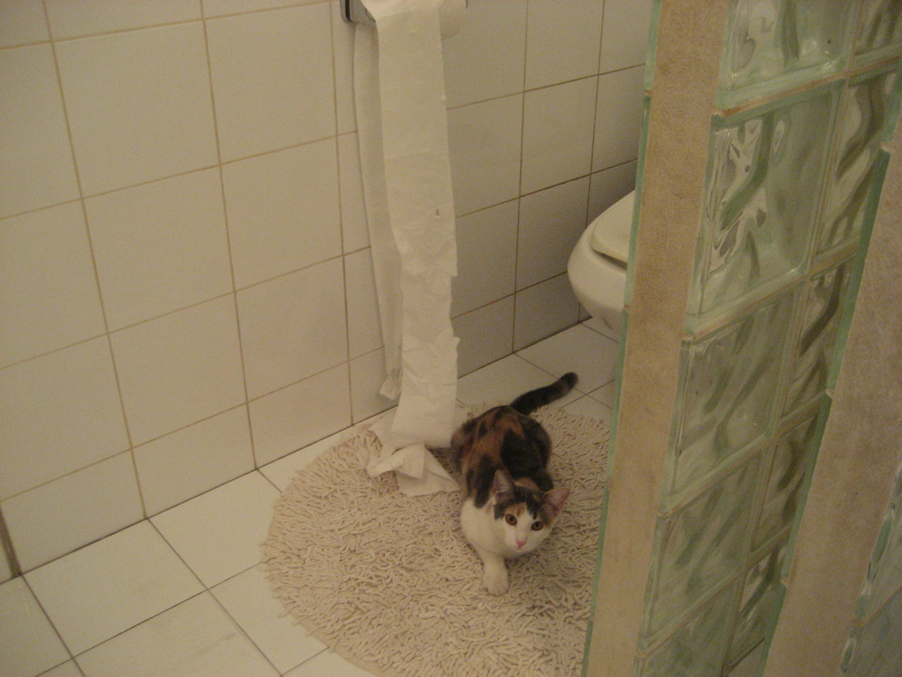 瑞典团队战术布局:如何应对强敌的进攻,瑞典队的打法