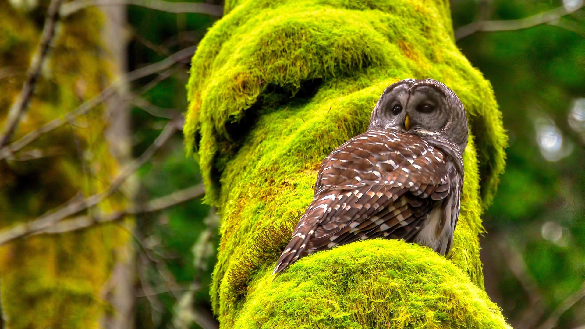 星空电竞-主教练展望下阶段赛程坦言挑战与机遇并存必须全力以赴，主教练上场比赛