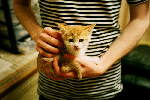 星空体育 中国 官方网站-公牛主帅满意新援融入速度，公牛队新主教练